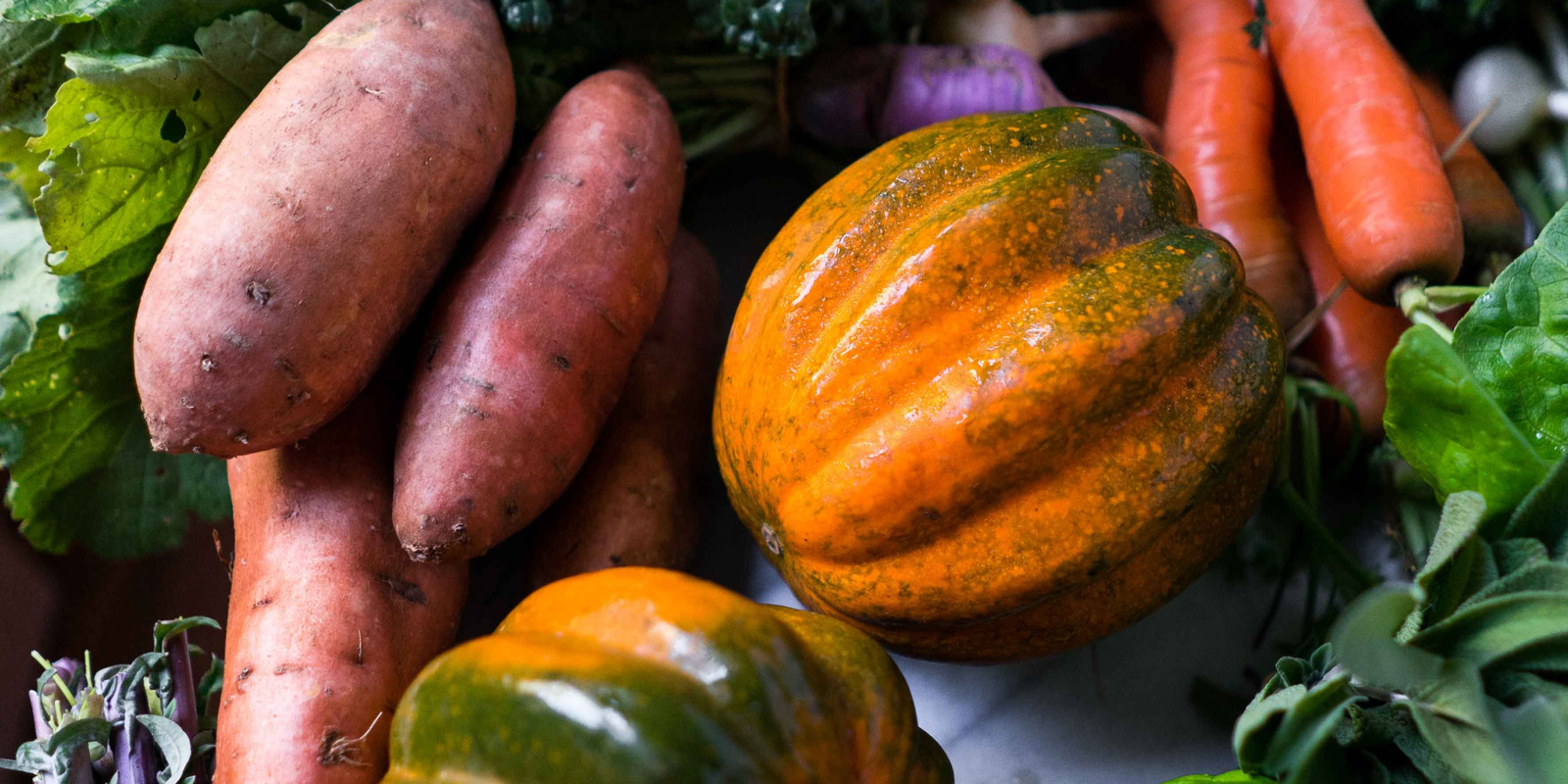 What to Plant in Your Garden During the Fall Season